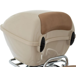 Nouveauté 2026 : Vente en dropshipping de scooters Italika Vitalia 150 Beige avec GPS, 100 % assemblés en usine - Product Image 4