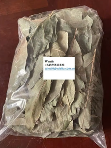 Vente en gros d'extrait de feuilles d'avocat 100% pur et biologique, qualité A, marque Viet DELTA, directement du fabricant, en vente - Product Image 5