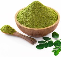 Poudre de feuilles de Moringa sauvage pressée à froid, qualité alimentaire, extrait végétal pour l'industrie agroalimentaire