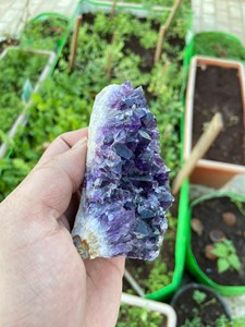 Deep Purple Amethyst Druzy <b>Cluster</b> | Natural Quartz <b>Crystal</b> Geode | Polished | Feng Shui Mineral Display Decor & Gift Rajasthan - Product Image 3