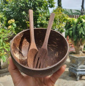 Cuencos de cáscara de coco desechables ecológicos de alta calidad con patrón de logotipo personalizado pulido para el mercado de Alemania - Product Image 2