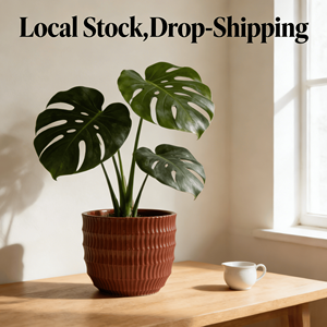 Livraison gratuite, stock US, livraison rapide en 3 jours, lot de 4 pots de fleurs ronds en céramique émaillée faits à la main pour la maison et le jardin - Product Image 6