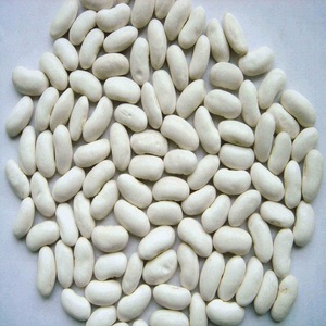 Haricots Blancs Secs de Haute Qualité en Gros, Emballage en Vrac, Durée de Conservation de 2 Ans, Origine France, Prix Promotionnel Actuel - Product Image 1