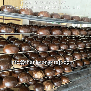 Fabricant direct de bols en noix de coco de qualité alimentaire, vaisselle naturelle, production en gros de bols en noix de coco de qualité alimentaire - Product Image 4
