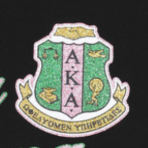 Camiseta AKA Black Pink con cuello en V para mujer, camiseta informal y elegante de tela suave de manga corta para uso diario - Product Image 5