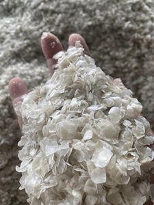 Escamas de Pescado al por Mayor, Materia Prima Marina a Granel para el Mercado de Exportación - Product Image 5