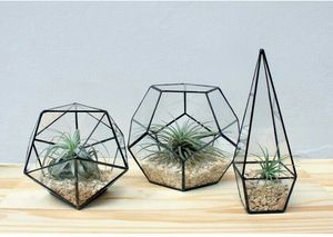 Large Glass Globe <b>Terrarium</b> <b>Kit</b>, Home and Living, Beach <b>Terrarium</b> wholesale geometric Desktop Sphere - Product Image 5