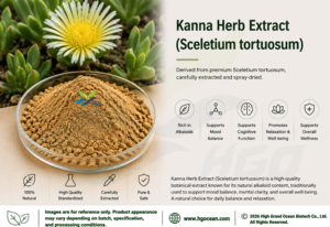 โรงงาน HGO จัดจำหน่ายสารสกัดจากสมุนไพรคันนาบริสุทธิ์จากธรรมชาติ (Sceletium tortuosum) เกรดอาหาร อัตราส่วนสารสกัด 5:1 10:1 20:1 - Product Image 2