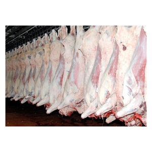 Premium Quality Beef Carcass Wholesale Supply At Factory Price For Sale - Product Image 3