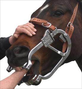 Espéculo Dental Veterinario, Abrebocas para Caballos, Ponis, Vacas, Ganado, Instrumentos Quirúrgicos Veterinarios de Acero Inoxidable - Product Image 3