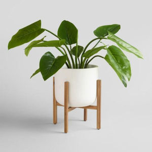 Support de plantes en bois élégant pour l'intérieur, en bois d'acacia, pour plantes de grande taille, support de pot de fleurs, présentoir pour la maison, le salon - Product Image 6