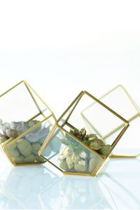 Terrarium géométrique d'intérieur, verre, plante d'intérieur de haute qualité, terrarium géométrique - Product Image 3