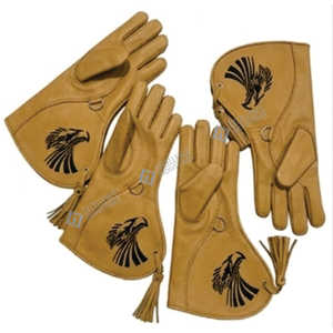 Guantes de Cetrería de Alta Calidad con Diseño Nuevo y Moderno, Precio al por Mayor, Servicio OEM ODM, Resistentes, con Logotipo Bordado Personalizado - Product Image 4