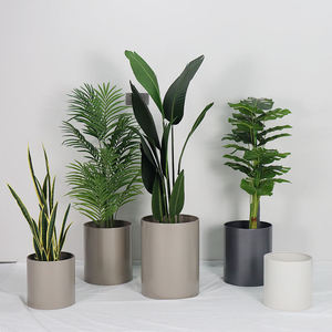 BOLD BLOSSOM Ensemble de pots de fleurs de jardin en gros, support métallique d'intérieur, jardinières rondes en acier inoxydable pour la décoration, Inde - Product Image 6