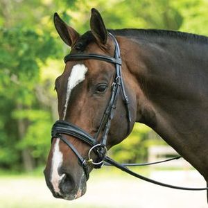 Bridon en cuir professionnel de haute qualité pour l'équitation en plein air, réglable, personnalisation acceptée - Product Image 6