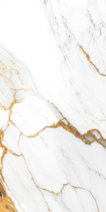 Vente directe d'usine : Carreaux de sol en granit 600 x 1200 mm super polis pour projets gouvernementaux. - Product Image 4