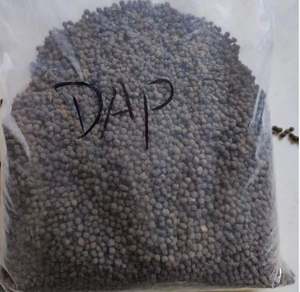 DAP Granular (18-46-0) |   Aplicación Directa al Suelo de Forma Fluida |   Fuente de Nitrógeno y Fósforo |   Proveedor al por Mayor - Product Image 1