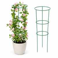 Support décoratif en métal pour plantes grimpantes, roses, fleurs et vignes de jardin