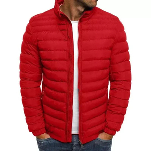 Chaquetas Acolchadas para Hombre con Logotipo Personalizado al por Mayor, MOQ Bajo, Última Moda 2025, Chaquetas Acolchadas Extra Grandes para Invierno - Product Image 5