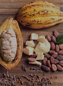 Beurre de Phulwara de qualité supérieure à usage cosmétique multifonctionnel, fournisseur et exportateur, fabrication en Inde - Product Image 5