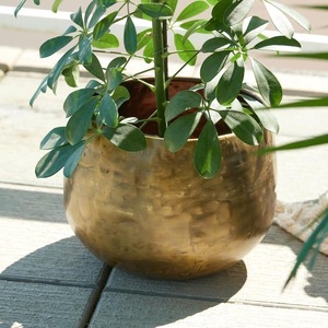 Pot de fleurs moderne en laiton martelé, durable et écologique, personnalisé, ILAHI's ICOMP-13378 1kg, non revêtu, fleur/vert - Product Image 1