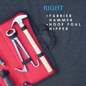 Kit complet d'outils de soin des sabots de cheval pour ferrer : Pince à sabots pour poulain, Râpe de finition des sabots, Lime, Couteau à sabots à extrémité en laiton et Marteau de ferrer - Product Image 4