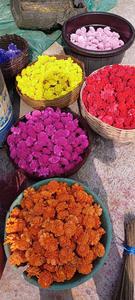 Fleurs en bois de Sola faites à la main, couleur rouge, en vrac, fleurs décoratives pour la décoration de mariage, arrangements floraux DIY - Product Image 5