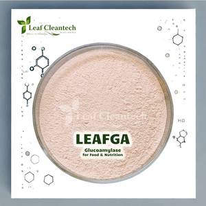 Enzyme glucoamylase pour l'hydrolyse de l'amidon-Production de sirop de sucre et transformation des aliments d'Inde | Enzymes alimentaires | - Product Image 1
