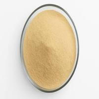 Poudre d'enzyme de bromélaïne séchée par pulvérisation pure 2500 GDU pour produits en suspension liquide hautement solubles