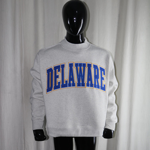 Sudadera de Cuello Alto Delaware, Gris Azul con Estampado de Letras, Corte Regular, Unisex, Informal, Tejida, para Otoño, CLUSH SPORTS - Product Image 3