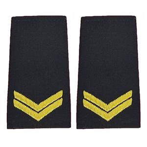 Épaulette de grade de pilote brodée en 3D, personnalisée, durable, de haute qualité, à coudre sur tissu textile ou toile, fabriquée à la main, service OEM - Product Image 5