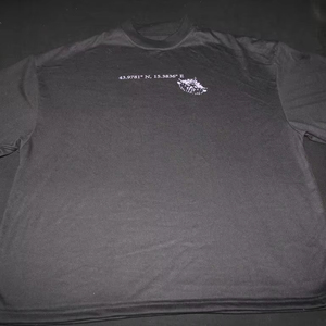 T-shirts 100% coton sur mesure, t-shirts noirs imprimés à l'écran pour cadeaux, 250 GSM, poids lourd - Product Image 1