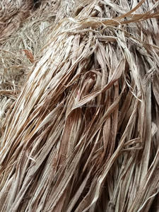 Hilo de fibra de Yute natural 100%, materia prima para hilo agrícola, cuerda de sisal natural - Product Image 3