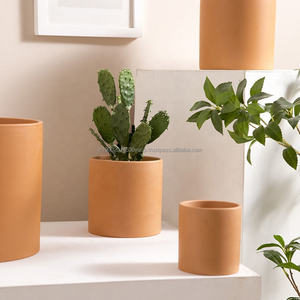 Pots à plantes en terre cuite longs, en forme de cactus et de fleurs, pour la maison, avec plateau, pots respirants et écologiques - Product Image 3