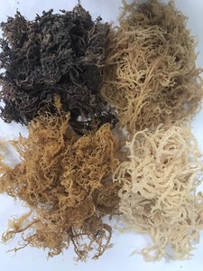 Algues Marines Séchées Écologiques de Haute Qualité, Sûres et Propres, Idéales pour la Cuisine et les Soins de la Peau, Vente Directe - Product Image 2