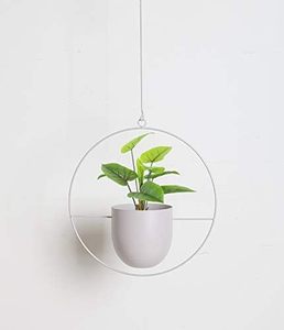 Pot de fleurs suspendu minimaliste moderne avec cadre métallique circulaire pour plantes vertes - Product Image 1