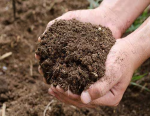 100% Organic Cow Dung Manure Natural <b>Compost</b> Fertilizer PP <b>Bag</b> Packaging Rectangle Digital Printing Potted Plants Vegetables 4 - Product Image 1