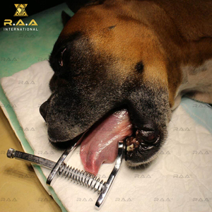 Écarteur buccal canin moyen 4,5″ en acier inoxydable de qualité supérieure pour examen dentaire et chirurgical des chiens – Instruments vétérinaires - Product Image 6