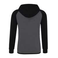 Sweat-shirt à capuche zippé pour homme, color block, manches longues, décontracté, respirant, en polyester et coton, haut de survêtement, pour l'automne, vente en gros