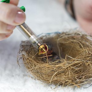 Jeringa e Inyector para Nutrición Animal, Herramienta Duradera y Reutilizable para Ganado con Acción Suave para el Cuidado de Animales de Granja - Product Image 6