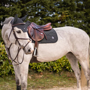 2026 Top Design Pad Stylish Equine Dressage Saddle Pads Custom Printing <b>Foam</b> <b>Padding</b> Cotton Fabric Horse Saddle Pads - Product Image 3