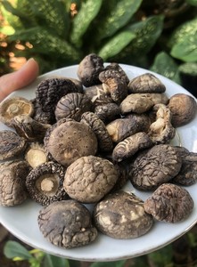 เห็ดหอมแห้งพรีเมียม แหล่งผลิตเวียดนาม - มีจำหน่ายขนาด 2-3 ซม. 3-4 ซม. 4-5 ซม. จำหน่ายแบบขายส่ง - Product Image 2