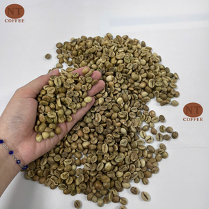 เมล็ดกาแฟโรบัสต้าคุณภาพสูงจากฟาร์มในเวียดนามโดยตรง รับผลิตแบบ OEM ODM พร้อมบรรจุภัณฑ์ตามสั่ง - Product Image 1