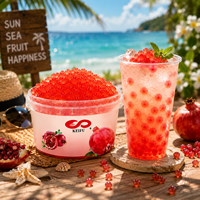 KEIFU 3.2kg Perlas de Boba de Frambuesa con Jugo, Bolas de Burbujas Instantáneas para Bebidas, Botella de Topping para Té de Burbujas, Certificado HALAL/HACCP