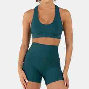 Ensemble de vêtements de sport pour la gym : soutien-gorge de sport et short moulant pour le yoga, tenue décontractée de fitness, ensembles de yoga - Product Image 1