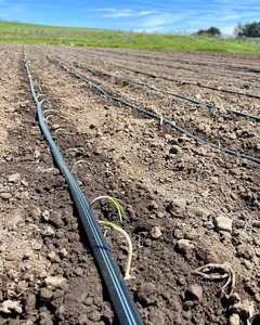 Sistema de Riego por Goteo de Baja Presión Ecológico, Tuberías Laterales para Horticultura, Viticultura, Ahorro de Agua, Uso Agrícola - Product Image 6