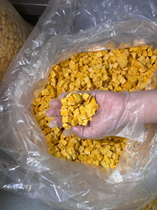 Mango Liofilizado de Fábrica en Vietnam, Dulce, para Cereales, Yogur y Chocolate, Empaque a Granel, Empaque de Regalo, Etiqueta OEM - Product Image 1