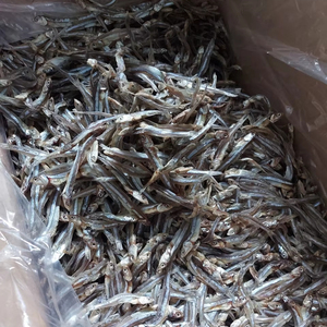 Anchois séchés en vrac pour l'alimentation animale et l'industrie alimentaire - Fournisseur - Product Image 1