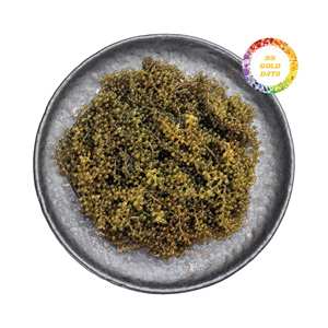 Uvas de Mar de Vietnam, las Más Vendidas, Algas Naturales Deshidratadas para Exportación a Granel - Product Image 2