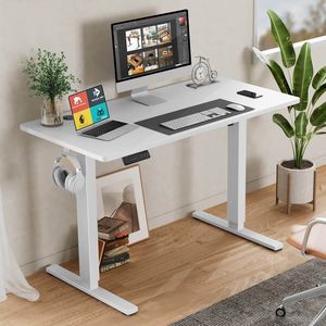 Electric Height Adjustable 55'' X 24'' <b>White</b> Ergonomic <b>Computer</b> <b>Desk</b> Sit-to-Stand Standing <b>Desk</b> - Product Image 3